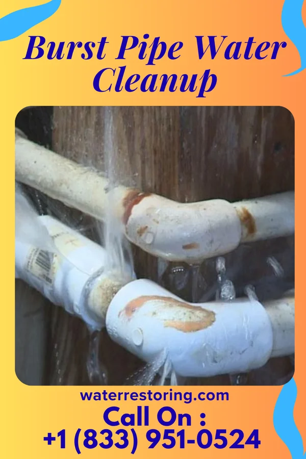 Burst Pipe Water Cleanup in Beclabito, NM