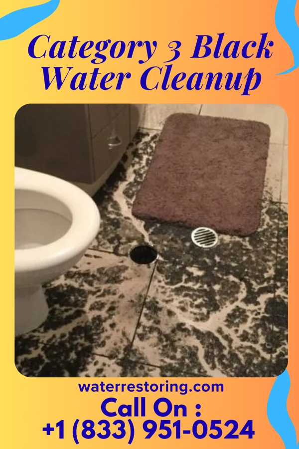 Category 3 Black Water Cleanup in Beclabito, NM