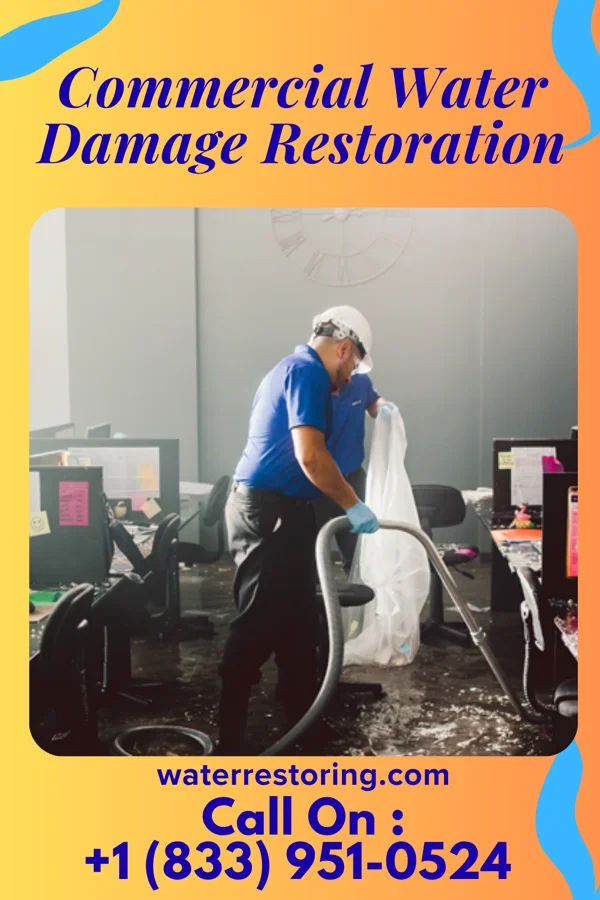 Commercial Water Damage Restoration in Beclabito, NM