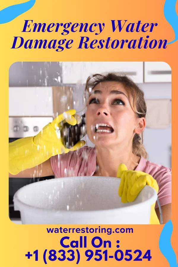 Emergency Water Damage Restoration in Beclabito, NM